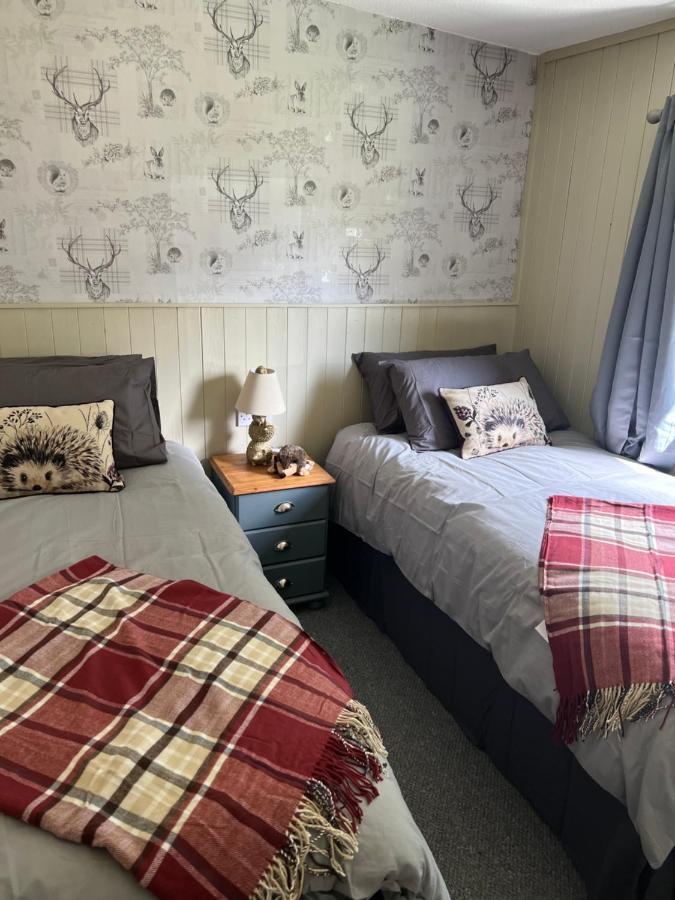 Woodlands Hedgehog Chalet, Bideford Bay Bucks Mills